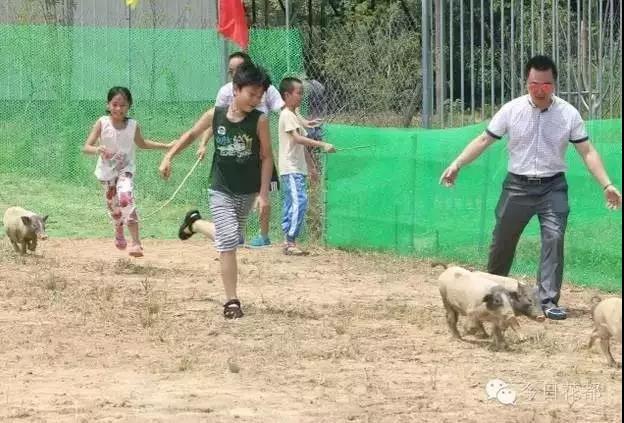 熱烈祝賀廣州市國藝農(nóng)業(yè)生態(tài)有限公司掛牌成功！