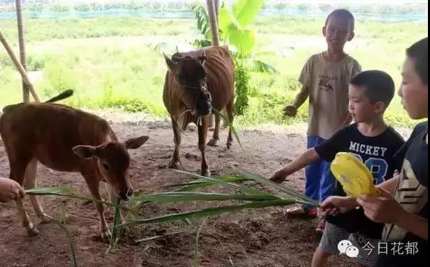 熱烈祝賀廣州市國藝農(nóng)業(yè)生態(tài)有限公司掛牌成功！
